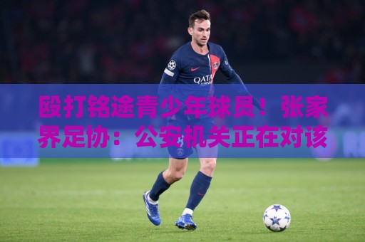 殴打铭途青少年球员!张家界足协:公安机关正在对该事件调查处置 殴打铭途青少年球员!张家界足协:公安机关正在对该事件调查处置