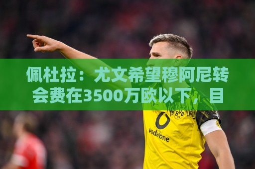 佩杜拉:尤文希望穆阿尼转会费在3500万欧以下,目前谈判取得进展 佩杜拉:尤文希望穆阿尼转会费在3500万欧以下,目前谈判取得进展