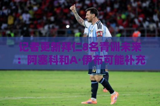 记者更新拜仁8名青训未来:阿塞科和A·伊布可能补充一线队 记者更新拜仁8名青训未来:阿塞科和A·伊布可能补充一线队