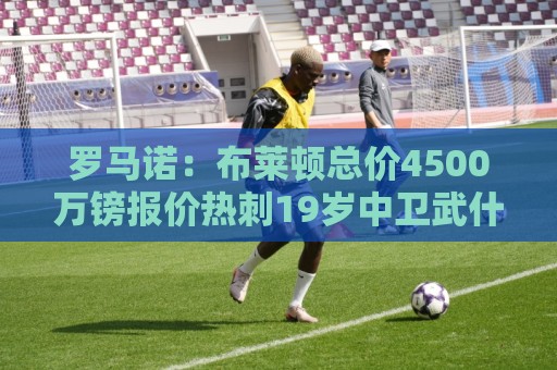 罗马诺:布莱顿总价4500万镑报价热刺19岁中卫武什科维奇 罗马诺:布莱顿总价4500万镑报价热刺19岁中卫武什科维奇