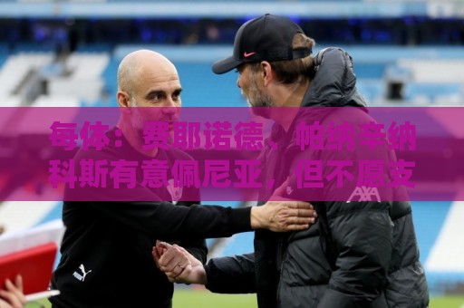 每体:费耶诺德、帕纳辛纳科斯有意佩尼亚,但不愿支付转会费 每体:费耶诺德、帕纳辛纳科斯有意佩尼亚,但不愿支付转会费