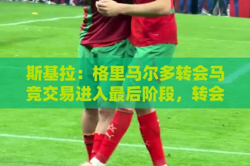 斯基拉:格里马尔多转会马竞交易进入最后阶段,转会费1200万欧 斯基拉:格里马尔多转会马竞交易进入最后阶段,转会费1200万欧