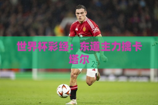 世界杯彩经:东道主力擒卡塔尔 世界杯彩经:东道主力擒卡塔尔