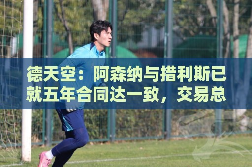 德天空:阿森纳与措利斯已就五年合同达一致,交易总价4000万欧 德天空:阿森纳与措利斯已就五年合同达一致,交易总价4000万欧