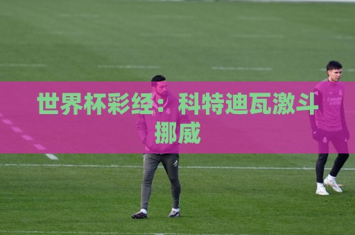 世界杯彩经:科特迪瓦激斗挪威 世界杯彩经:科特迪瓦激斗挪威