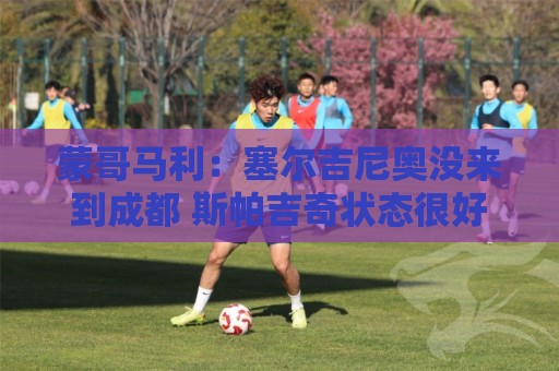 蒙哥马利:塞尔吉尼奥没来到成都 斯帕吉奇状态很好我们信任他 蒙哥马利:塞尔吉尼奥没来到成都 斯帕吉奇状态很好我们信任他