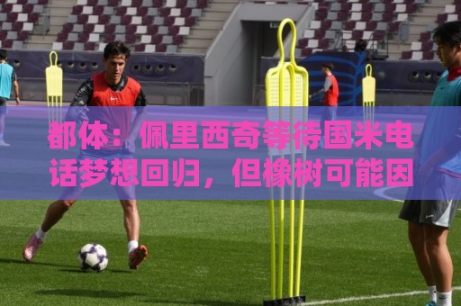 都体:佩里西奇等待国米电话梦想回归,但橡树可能因年龄原因否决 都体:佩里西奇等待国米电话梦想回归,但橡树可能因年龄原因否决