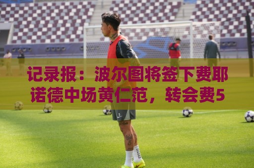 记录报:波尔图将签下费耶诺德中场黄仁范,转会费500万欧元 记录报:波尔图将签下费耶诺德中场黄仁范,转会费500万欧元