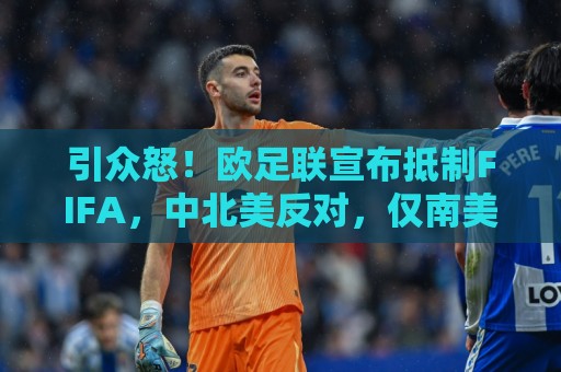 引众怒!欧足联宣布抵制FIFA,中北美反对,仅南美足联还未发声 引众怒!欧足联宣布抵制FIFA,中北美反对,仅南美足联还未发声