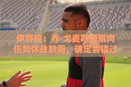 伊劳拉:乔·戈麦斯因肌肉伤势休战数周,确定会错过英超开局阶段 伊劳拉:乔·戈麦斯因肌肉伤势休战数周,确定会错过英超开局阶段