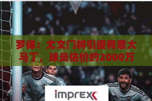 罗体:尤文门将引援有意大马丁,球员估价约2000万欧元 罗体:尤文门将引援有意大马丁,球员估价约2000万欧元