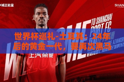 世界杯巡礼-土耳其:24年后的黄金一代,要再次黑马狂奔 世界杯巡礼-土耳其:24年后的黄金一代,要再次黑马狂奔