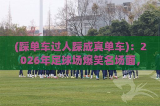 (踩单车过人踩成真单车):2026年足球场爆笑名场面,网友:我说的是真的单车!【踩单车过人踩成真单车】 (踩单车过人踩成真单车):2026年足球场爆笑名场面,网友:我说的是真的单车!【踩单车过人踩成真单车】
